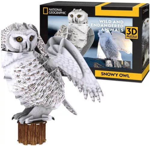 Cubicfun 3D puzzle-Hóbagoly