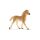 Schleich Haflinger csikó