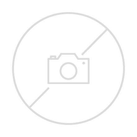 Zvezda Tiger I 1:100 (6256)