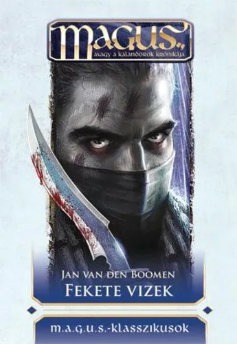 Jan van den Boomen Fekete vizek