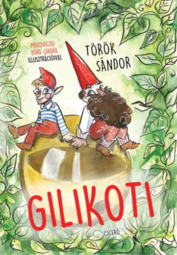 Török Sándor  Gilikoti