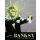 Alessandra Mattanza Banksy