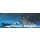Modell  14218 - BATTLESHIP BISMARCK (STATIC) (1:800)